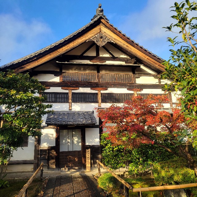 f:id:atoriatoriatori:20241227105912j:image