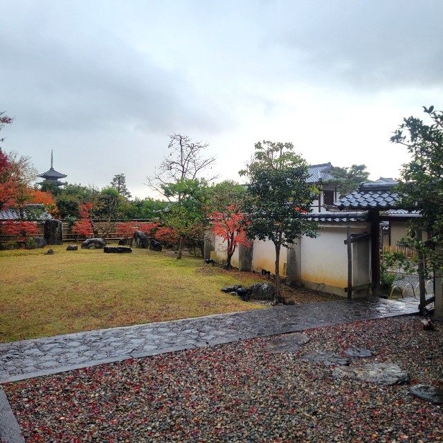 f:id:atoriatoriatori:20241227122145j:image