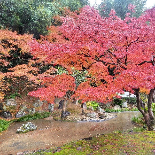 f:id:atoriatoriatori:20241227122236j:image