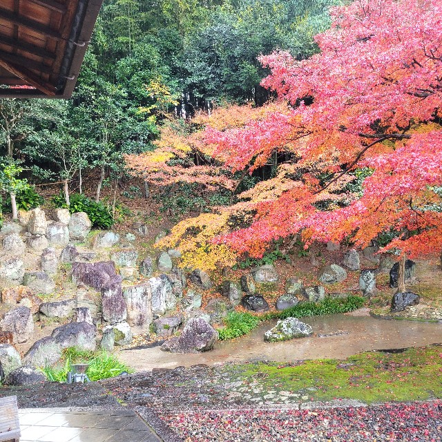 f:id:atoriatoriatori:20241227122535j:image