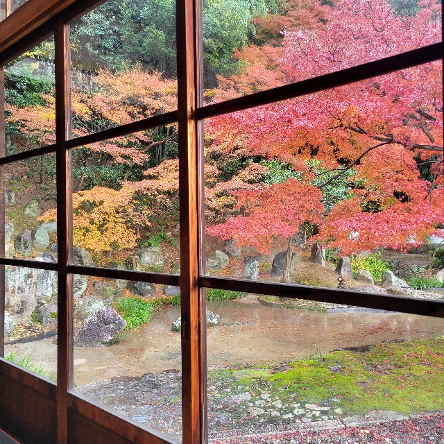 f:id:atoriatoriatori:20241227123124j:image