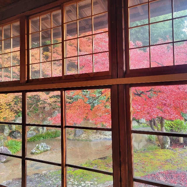 f:id:atoriatoriatori:20241227123134j:image