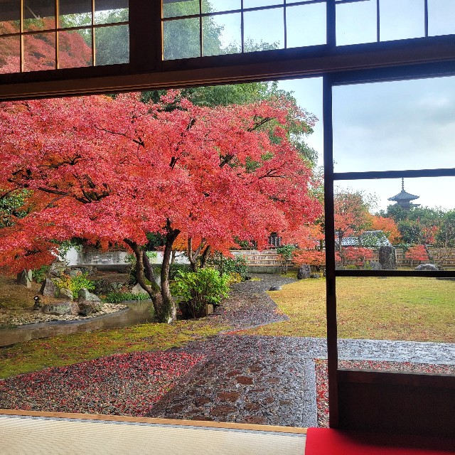 f:id:atoriatoriatori:20241227133057j:image