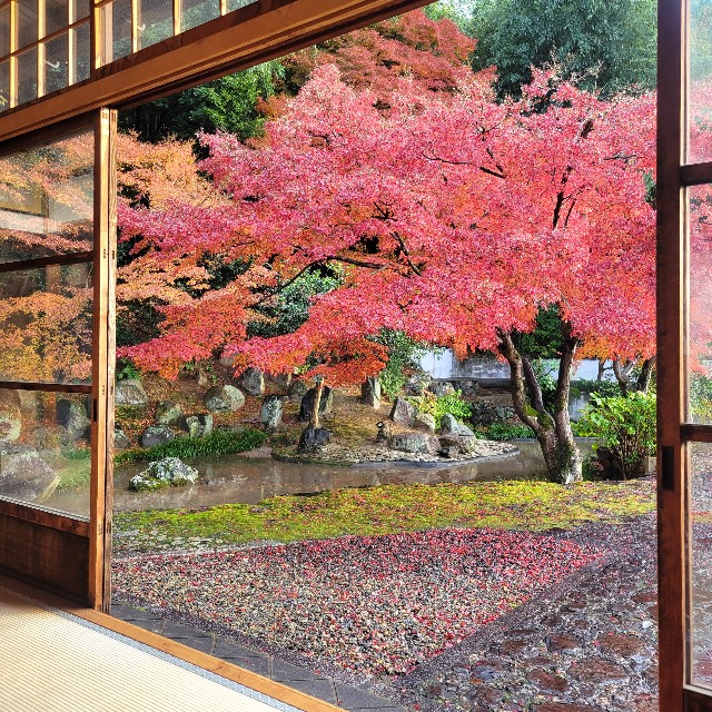 f:id:atoriatoriatori:20241227143127j:image