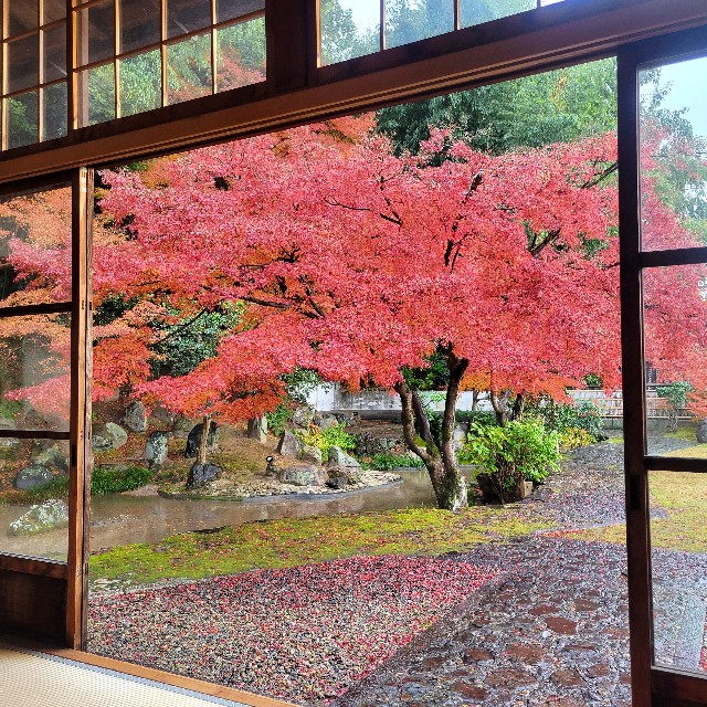 f:id:atoriatoriatori:20241227143341j:image