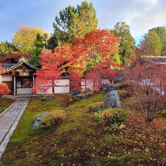 f:id:atoriatoriatori:20241227201311j:image