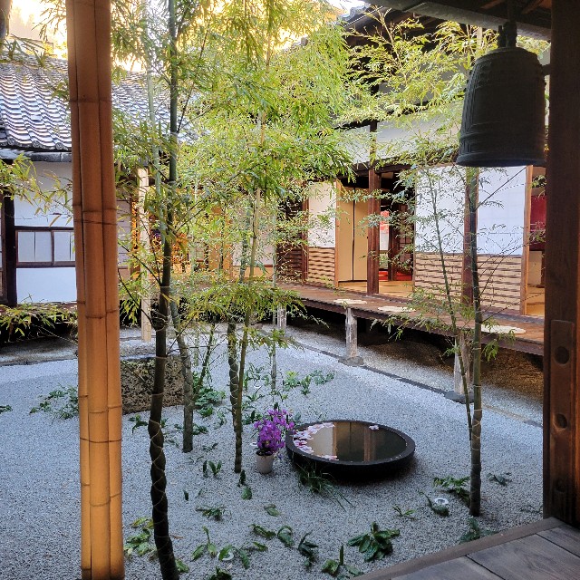f:id:atoriatoriatori:20241228085018j:image