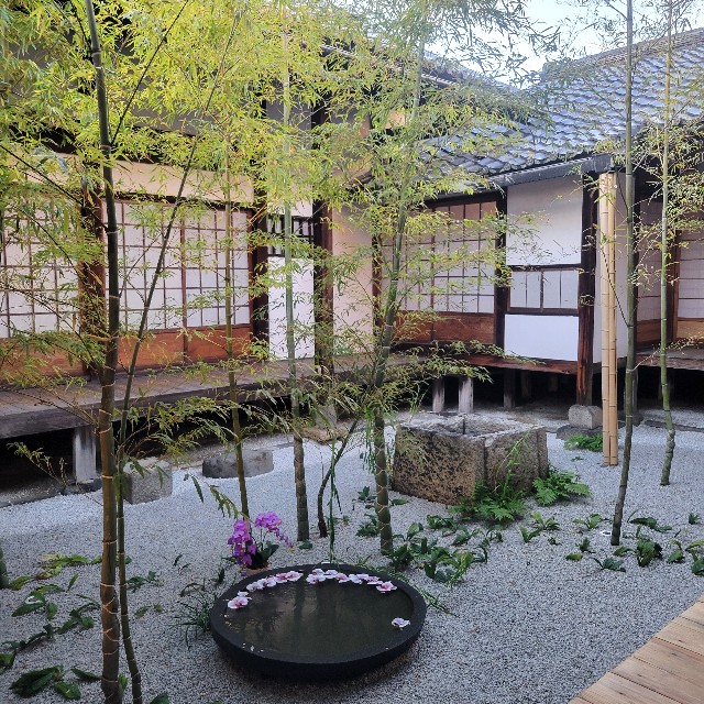 f:id:atoriatoriatori:20241228085027j:image