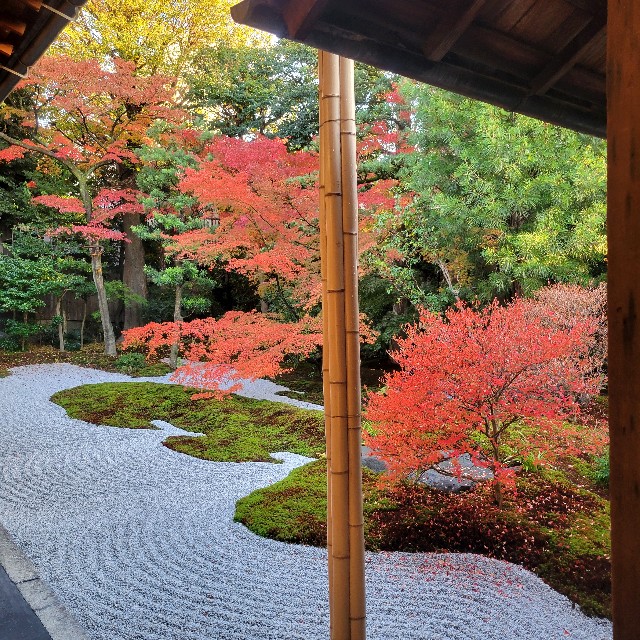 f:id:atoriatoriatori:20241228085104j:image