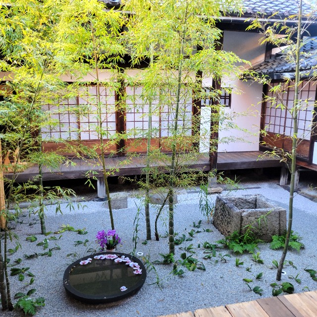 f:id:atoriatoriatori:20241228093030j:image