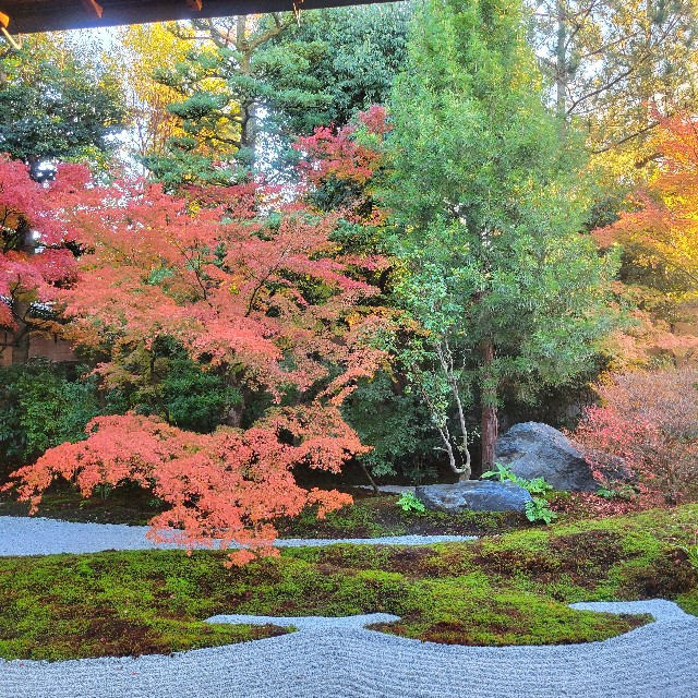 f:id:atoriatoriatori:20241228093120j:image