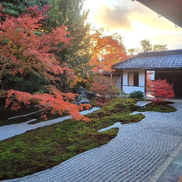 f:id:atoriatoriatori:20241228094850j:image