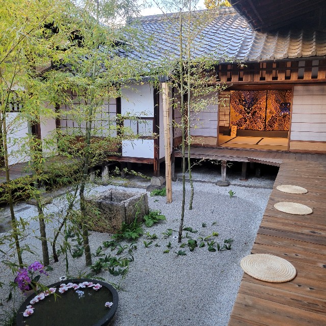 f:id:atoriatoriatori:20241228102855j:image