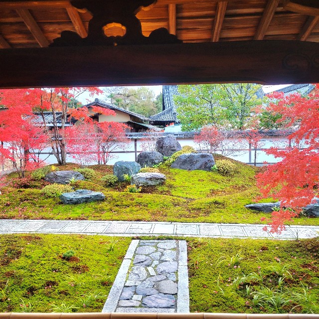 f:id:atoriatoriatori:20241228103601j:image