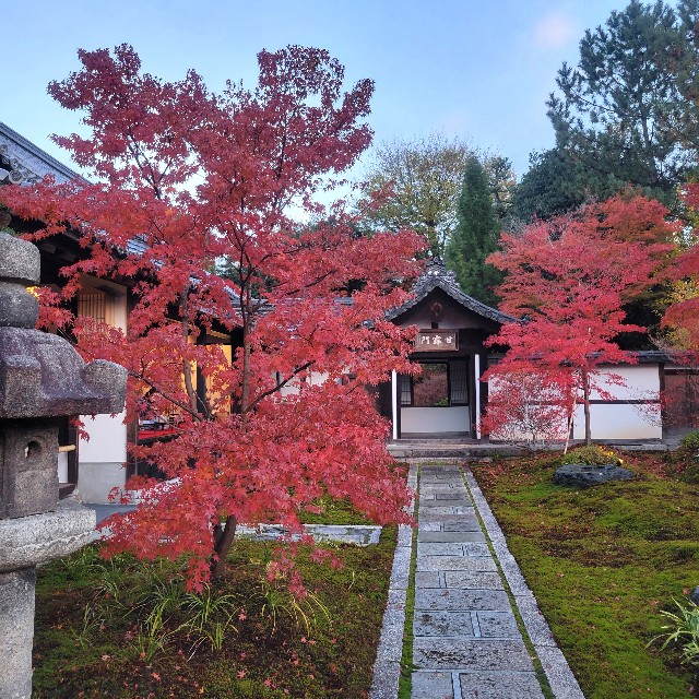 f:id:atoriatoriatori:20241228103808j:image