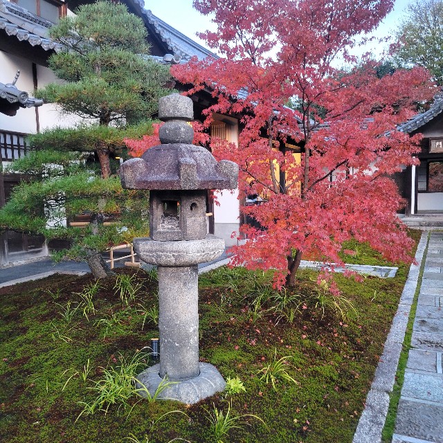 f:id:atoriatoriatori:20241228103929j:image