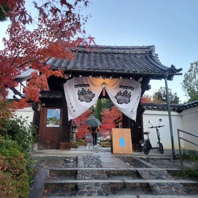 f:id:atoriatoriatori:20241228111306j:image