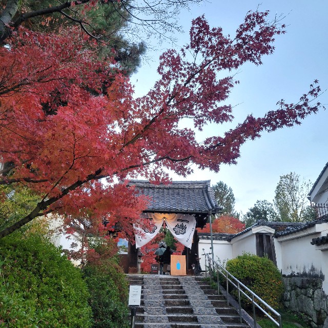 f:id:atoriatoriatori:20241228111313j:image