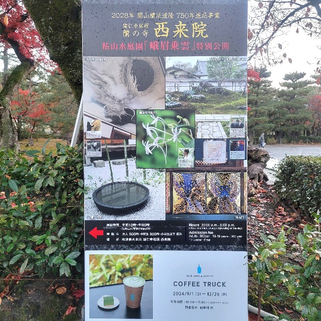f:id:atoriatoriatori:20241228124422j:image