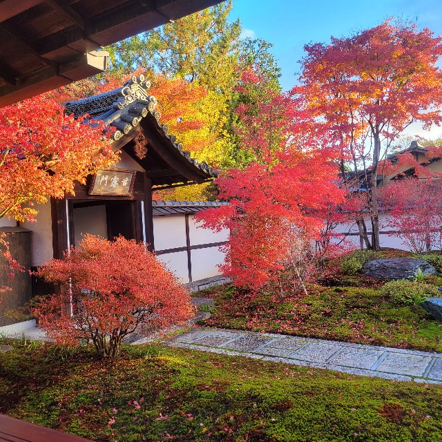 f:id:atoriatoriatori:20241228125114j:image