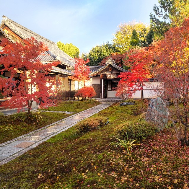 f:id:atoriatoriatori:20241228130734j:image
