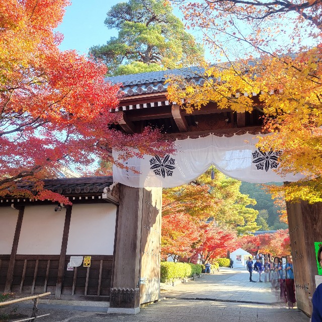 f:id:atoriatoriatori:20241228165710j:image
