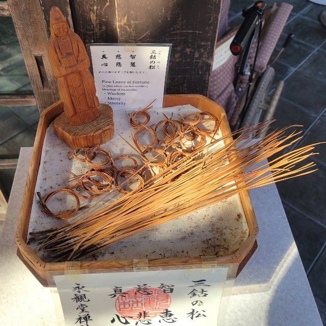 f:id:atoriatoriatori:20241228203904j:image