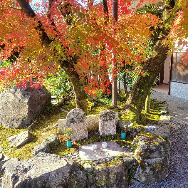 f:id:atoriatoriatori:20241228205008j:image