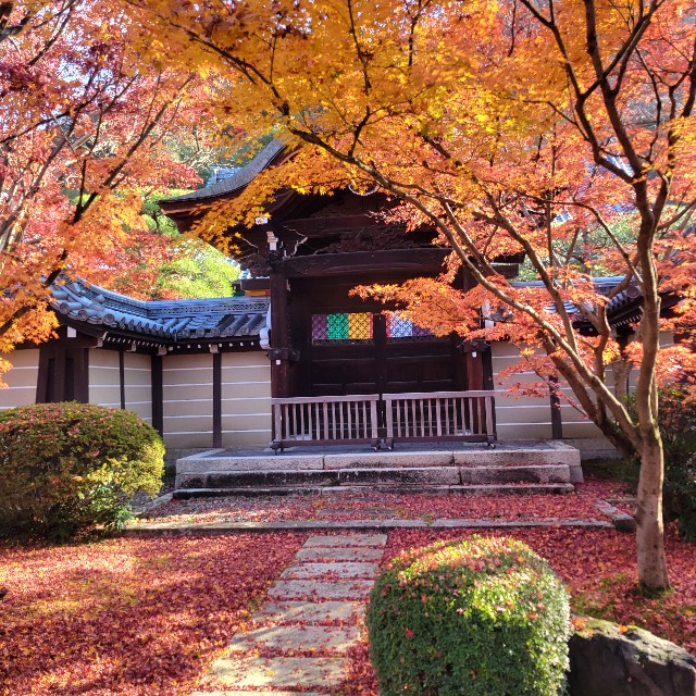 f:id:atoriatoriatori:20241228213723j:image