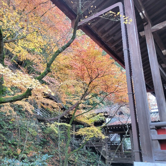 f:id:atoriatoriatori:20241229102800j:image
