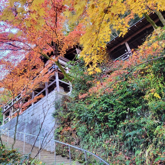 f:id:atoriatoriatori:20241229103826j:image