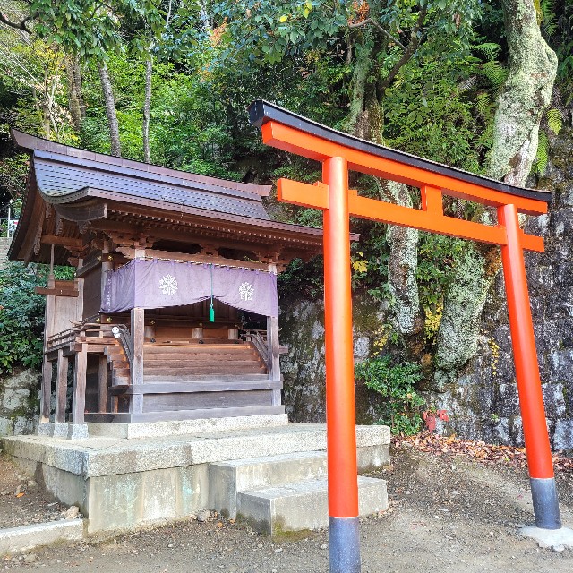 f:id:atoriatoriatori:20241229192738j:image
