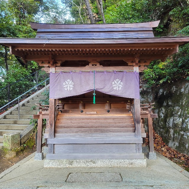 f:id:atoriatoriatori:20241229192750j:image
