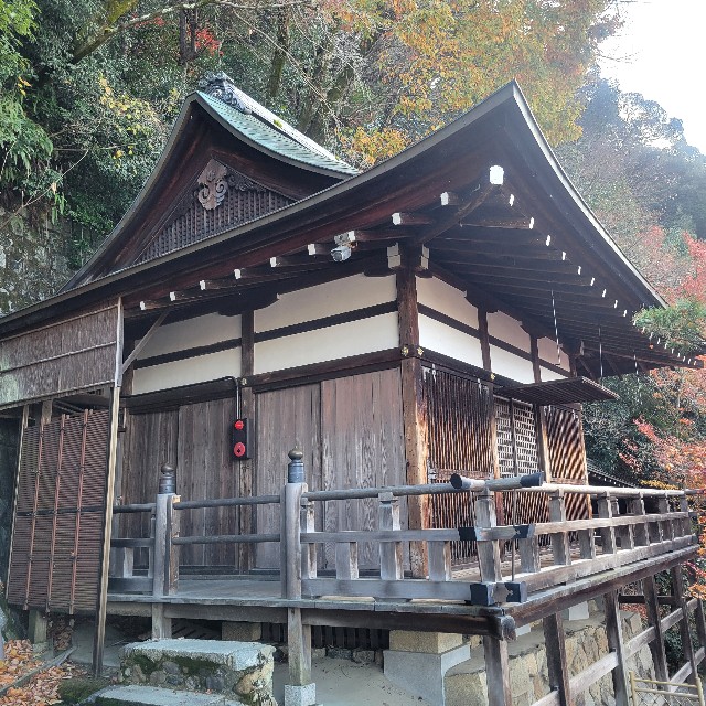 f:id:atoriatoriatori:20241229192756j:image