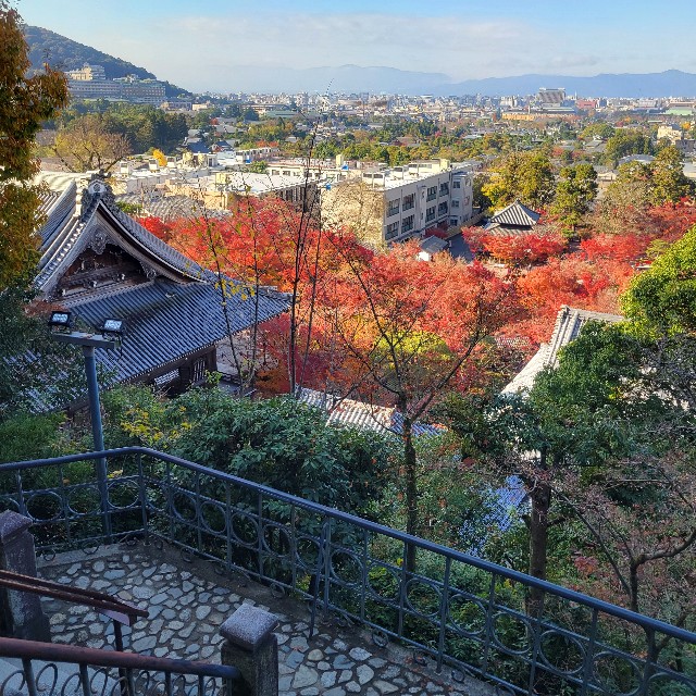 f:id:atoriatoriatori:20241230093148j:image