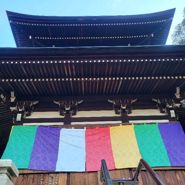 f:id:atoriatoriatori:20241230093514j:image