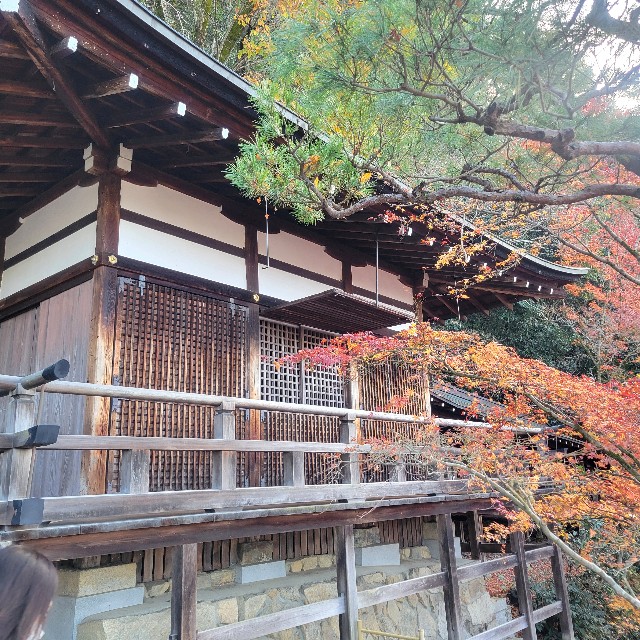 f:id:atoriatoriatori:20241230094007j:image