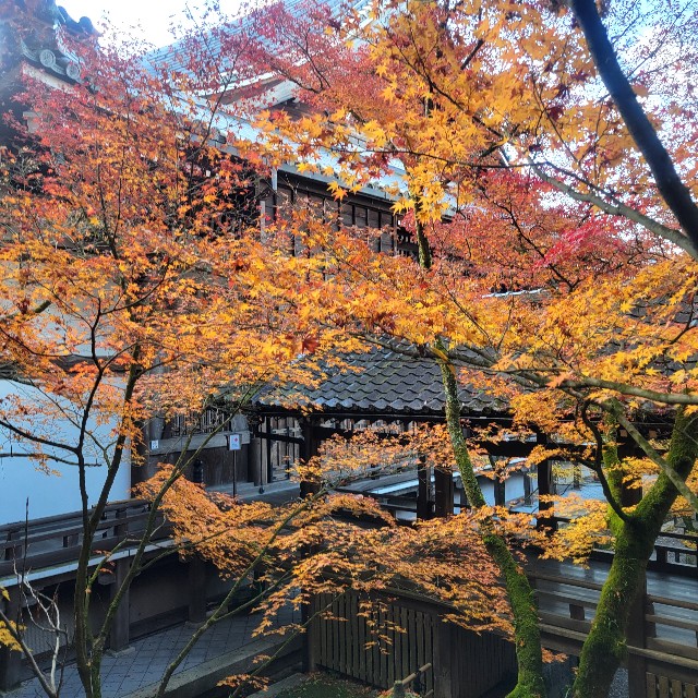 f:id:atoriatoriatori:20241230094504j:image