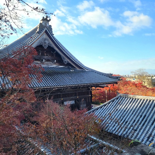 f:id:atoriatoriatori:20241230094612j:image