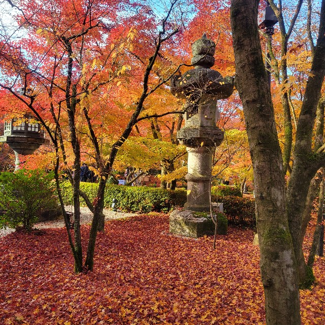 f:id:atoriatoriatori:20241230100417j:image