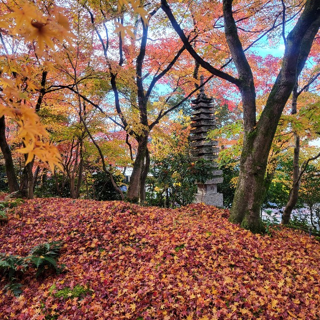 f:id:atoriatoriatori:20241230101040j:image