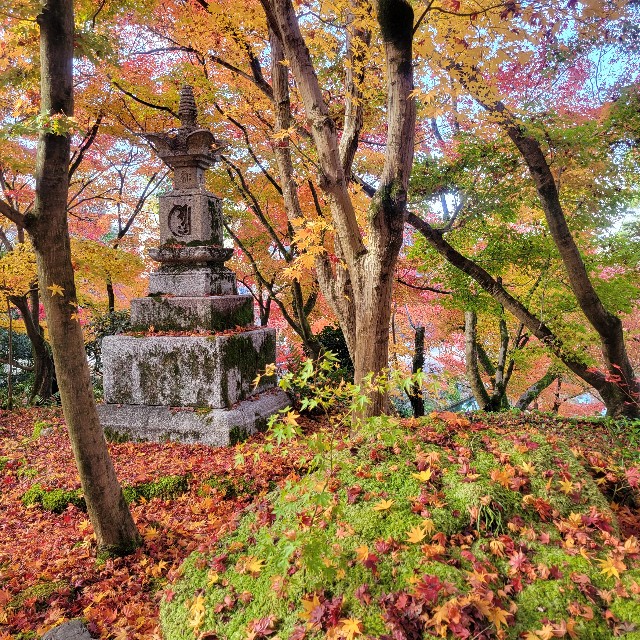f:id:atoriatoriatori:20241230103718j:image