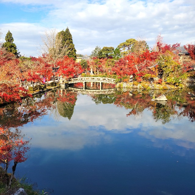 f:id:atoriatoriatori:20241230104916j:image