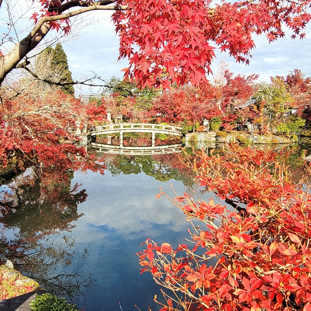 f:id:atoriatoriatori:20241230104932j:image