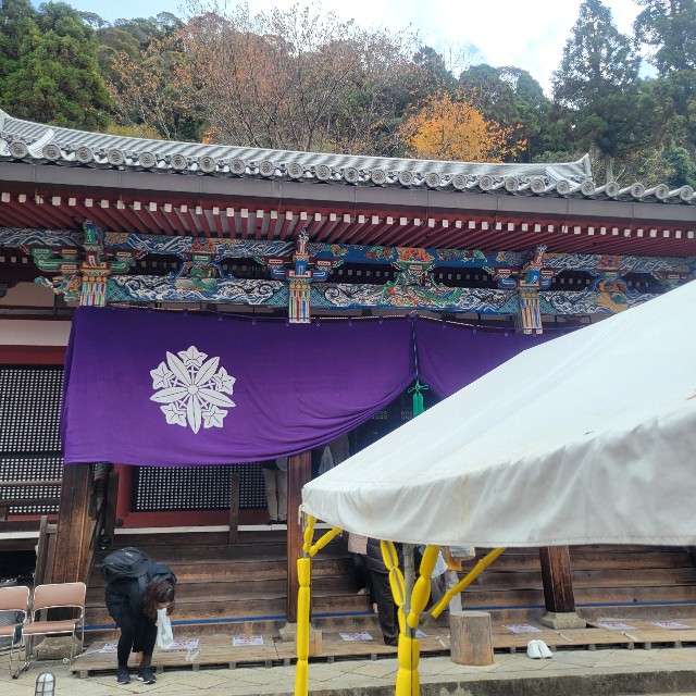 f:id:atoriatoriatori:20241231175513j:image