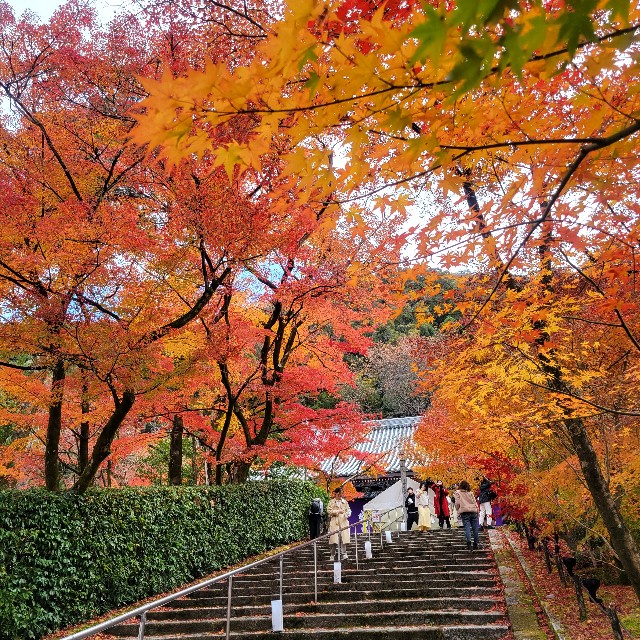 f:id:atoriatoriatori:20241231201113j:image