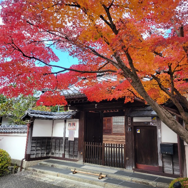 f:id:atoriatoriatori:20250101110005j:image