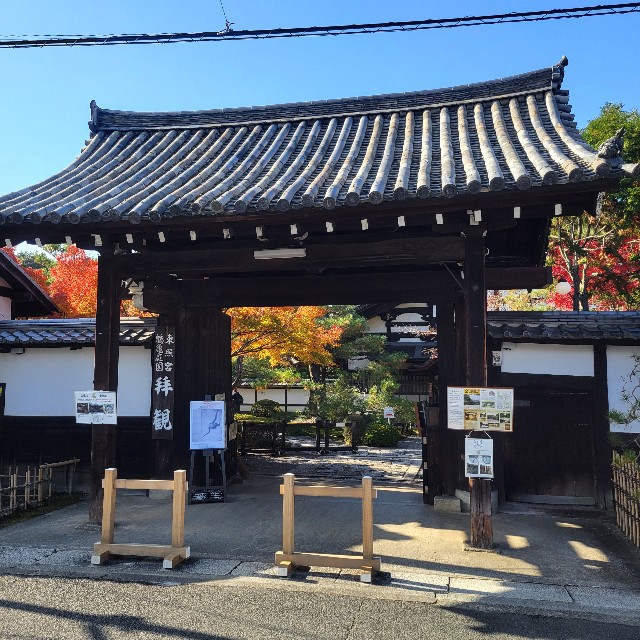 f:id:atoriatoriatori:20250102153013j:image