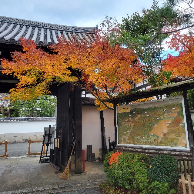 f:id:atoriatoriatori:20250102172027j:image