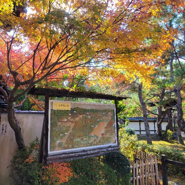 f:id:atoriatoriatori:20250102172259j:image